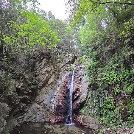 Village Camping Fico D'India Ovile la Marina Экстерьер фото