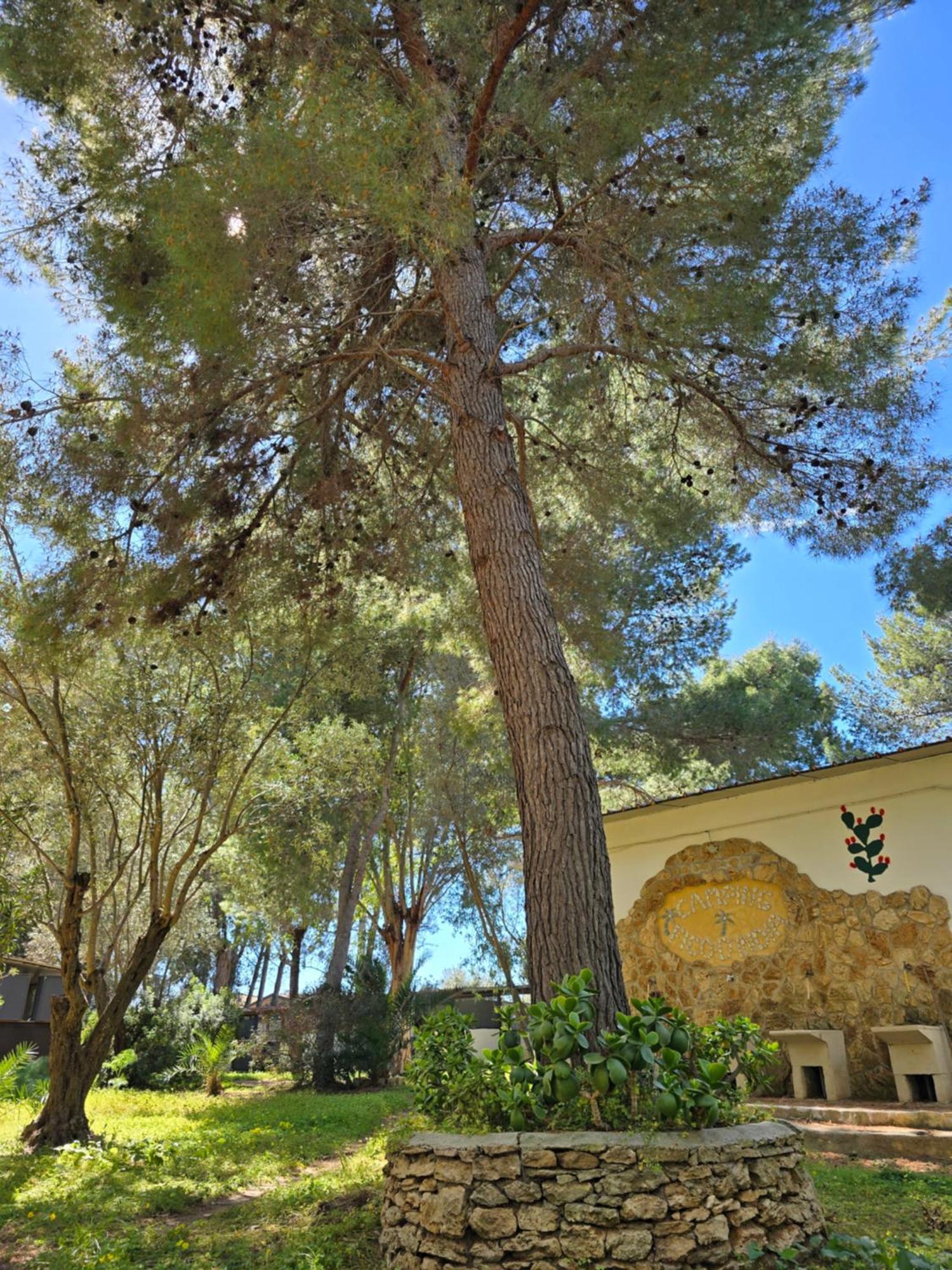 Village Camping Fico D'India Ovile la Marina Экстерьер фото