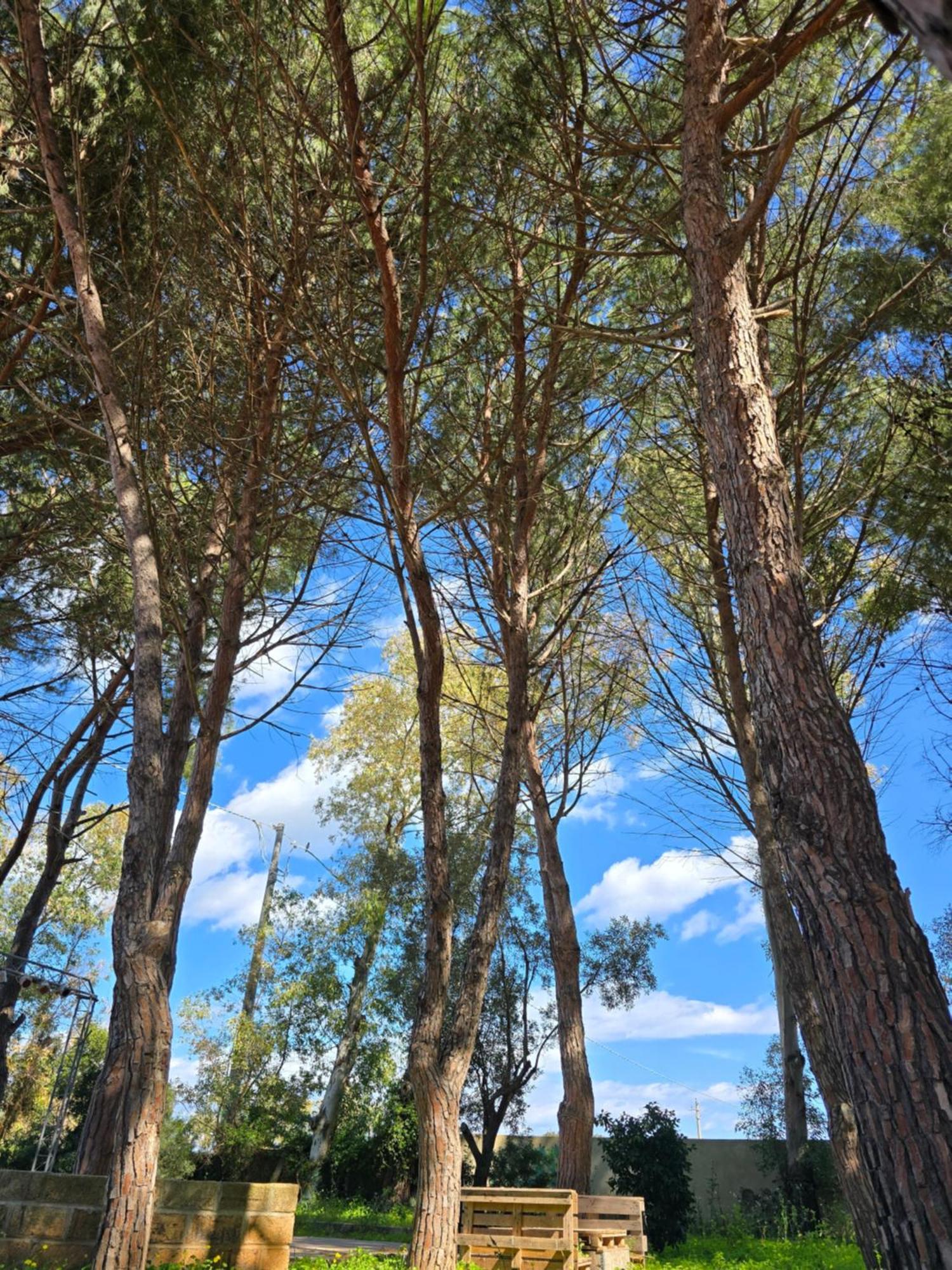 Village Camping Fico D'India Ovile la Marina Экстерьер фото
